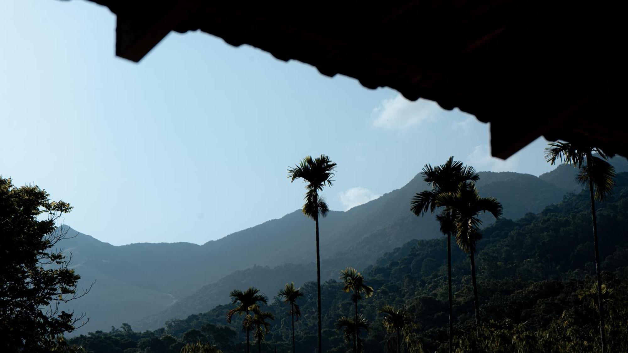 Vythiri Holiday Resort, Wayanad Bagian luar foto